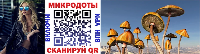 хочу наркоту  Покачи  Галлюциногенные грибы Magic Shrooms 