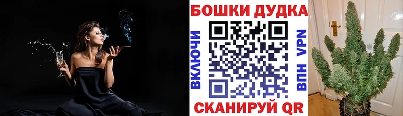закладка  Покачи  Шишки марихуана тримм 